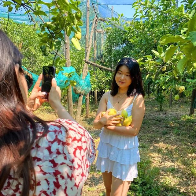 Sorrento: Lemon Experience With Harvesting and Tasting Tour