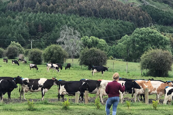 South Island Road Trip Delights: Custom Multi-Day 7D : 6N