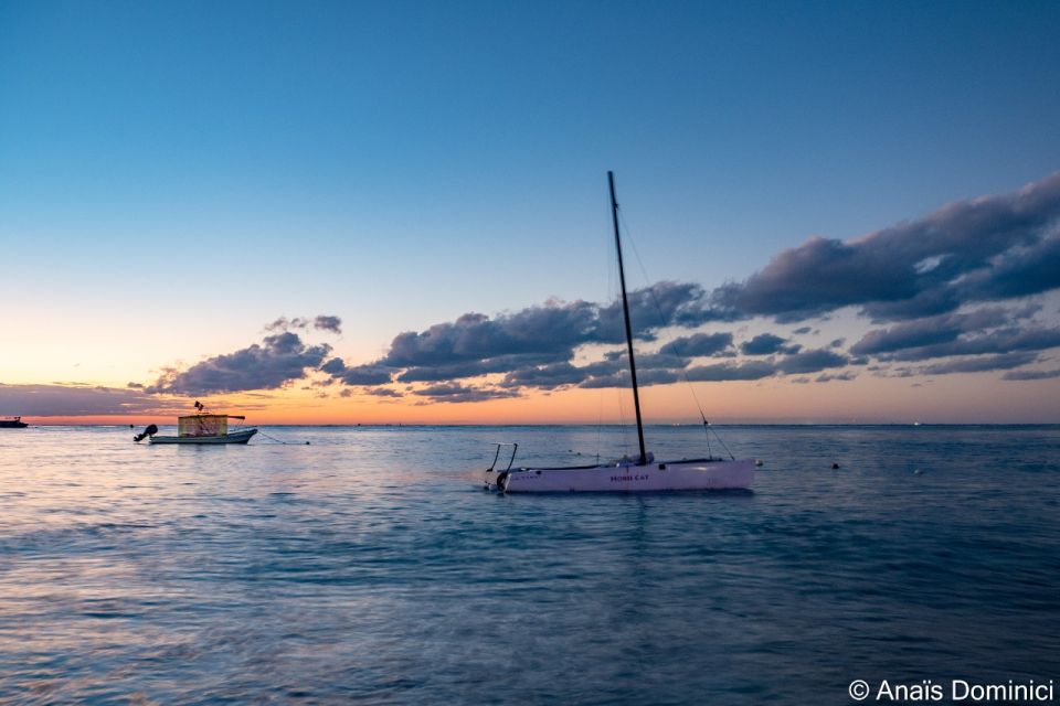 South Marine Park & Cozumel Reef Scuba Diving Tour