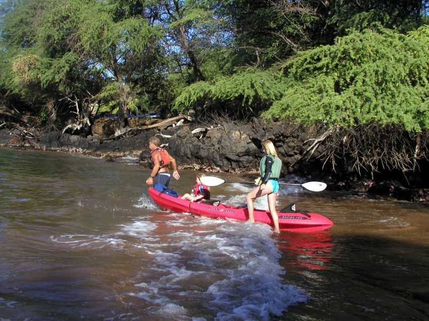 South Maui: Whale Watch Kayaking and Snorkel Tour in Kihei