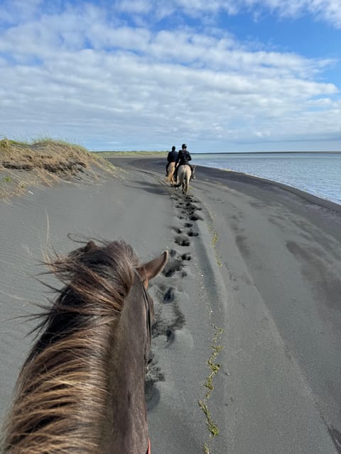 South of Iceland: Black Beach Riding Tour