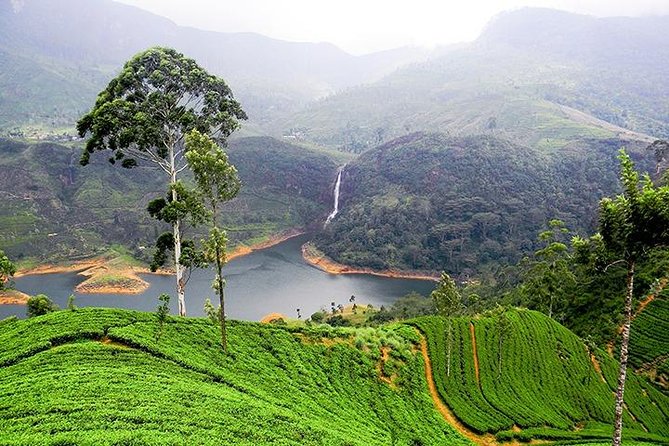 Sri Lanka Tour Packages With English Speaking Driver Guide and Car - Overview of Sri Lanka Tours