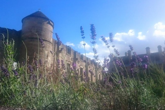 St Andrews, Falkland and Fife Villages Tour From Edinburgh