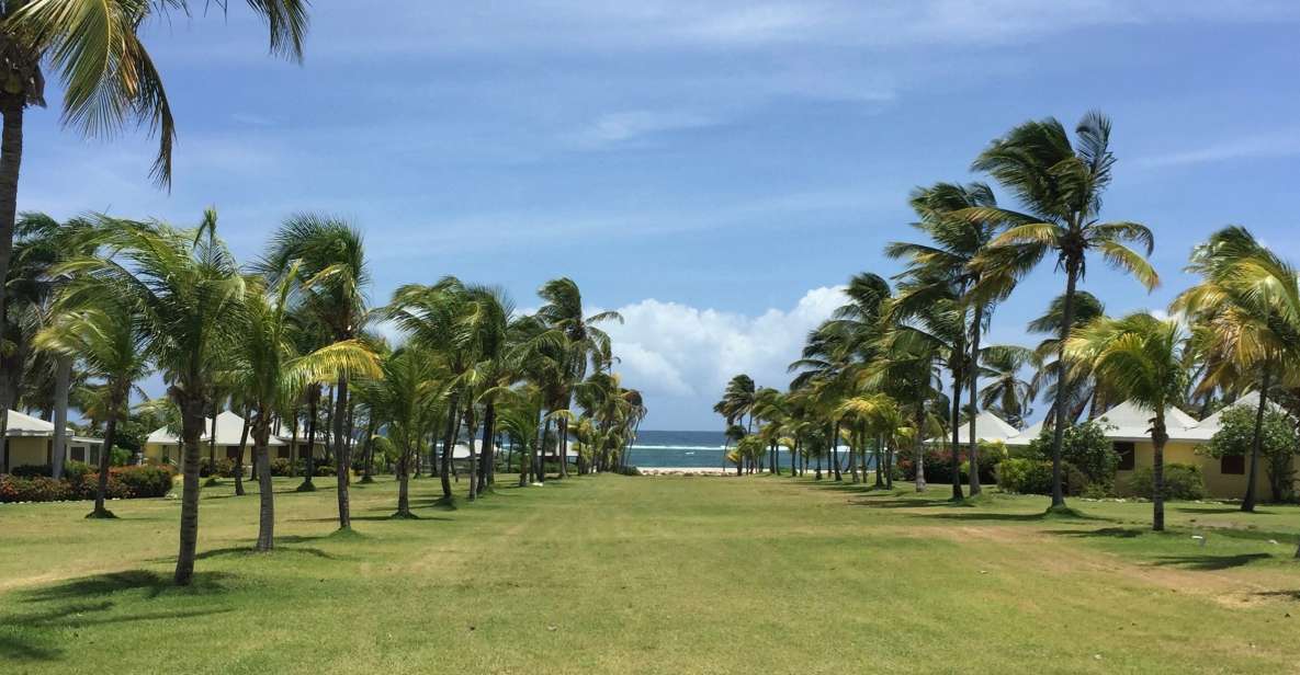 St. Kitts: Nevis Island Tour and Beach Time With Lunch