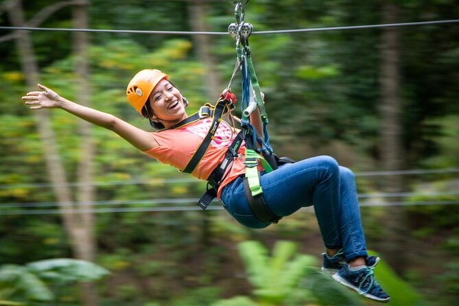 St Lucia Ultimate 3: Aerial Tram, Zipline and Hiking at Rainforest Adventures