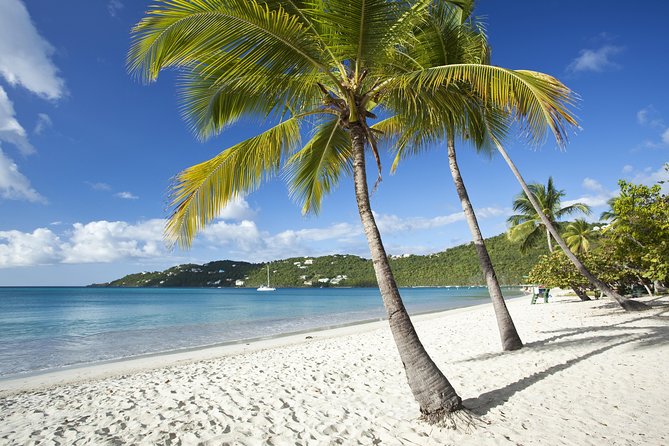 St Thomas Shore Excursion: Shopping, Sightseeing and Beach Tour - Itinerary Highlights