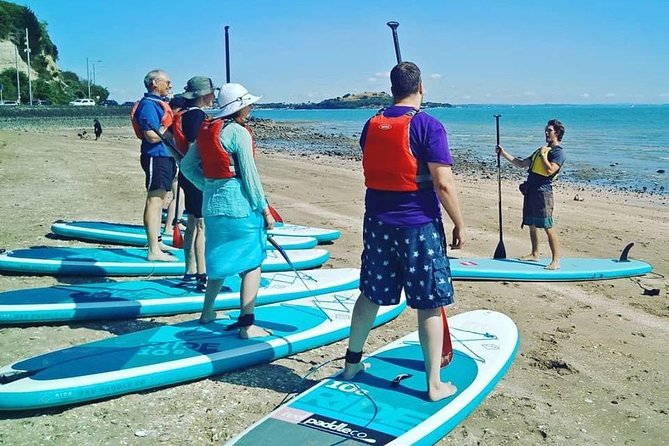 Stand up Paddle Board Rental – 1 Hour