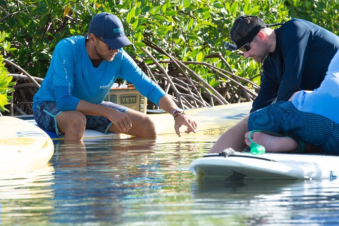 Stand up Paddleboard Eco Tour