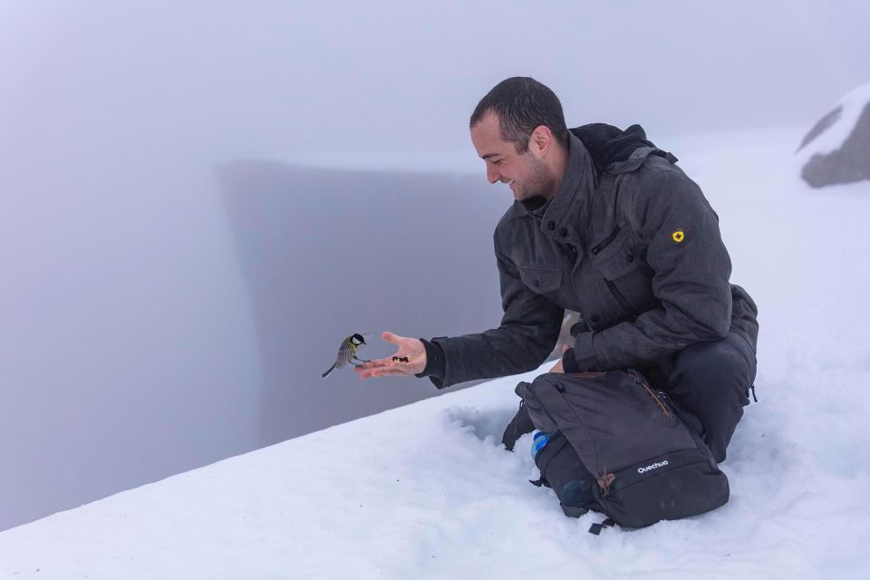 Stavanger: Preikestolen Winter Hike