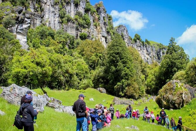 [Stevong Travel] 12-Hour LOTR Trollshaws & Waitomo Glowworm Tour