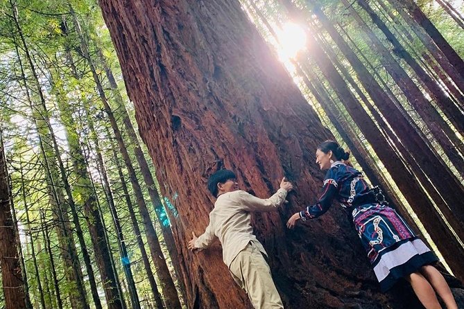 [Stevong Travel] Rotorua Private Tour With Hotspring