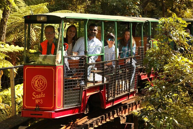 [Stevong Travel] West Coromandel Day Tour