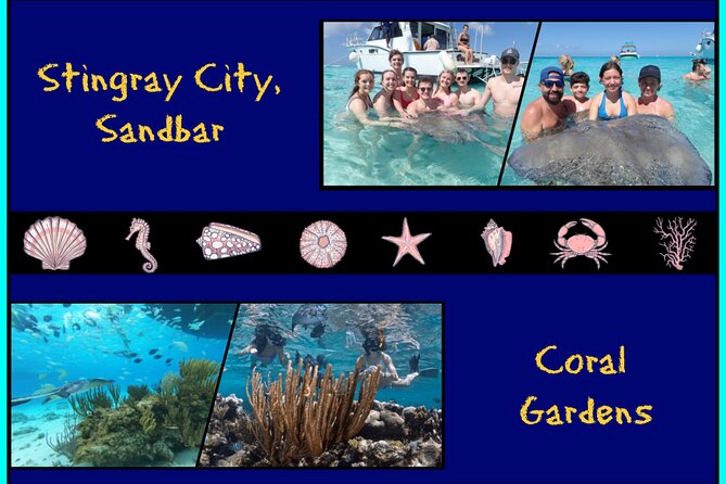 Stingray City Experience From Grand Cayman (2-Stops Adventure)