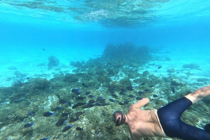 Stingray City, Star Fish Point and Snorkeling Private Boat Tour - Meeting and Pickup Details