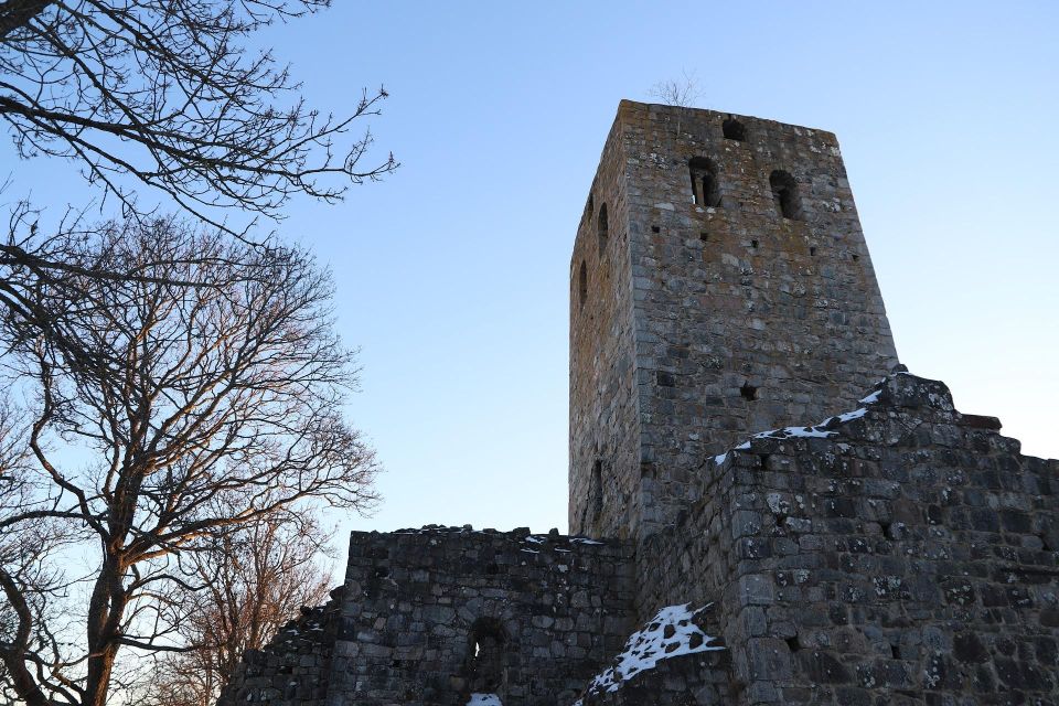 Stockholm: Sigtuna and Uppsala Viking History Day Tour