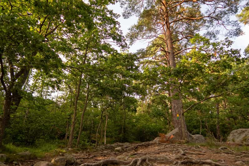 Stockholms Nacka Nature Reserve: 3-hour Hike for Beginners