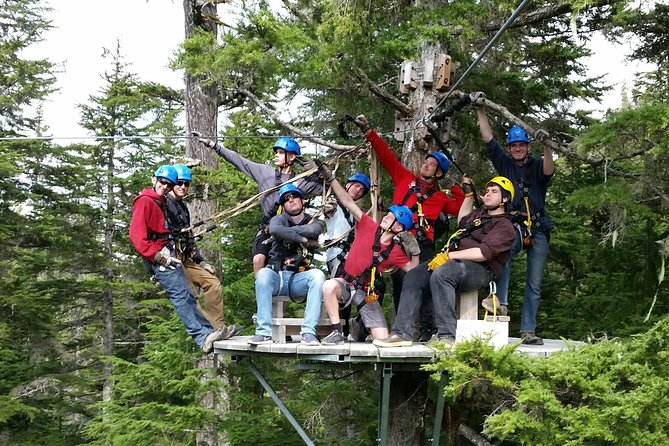 Stoney Creek Canopy Adventure