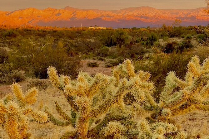 Stunning Sunset or Sunrise Guided Hiking Adventure in Phoenix