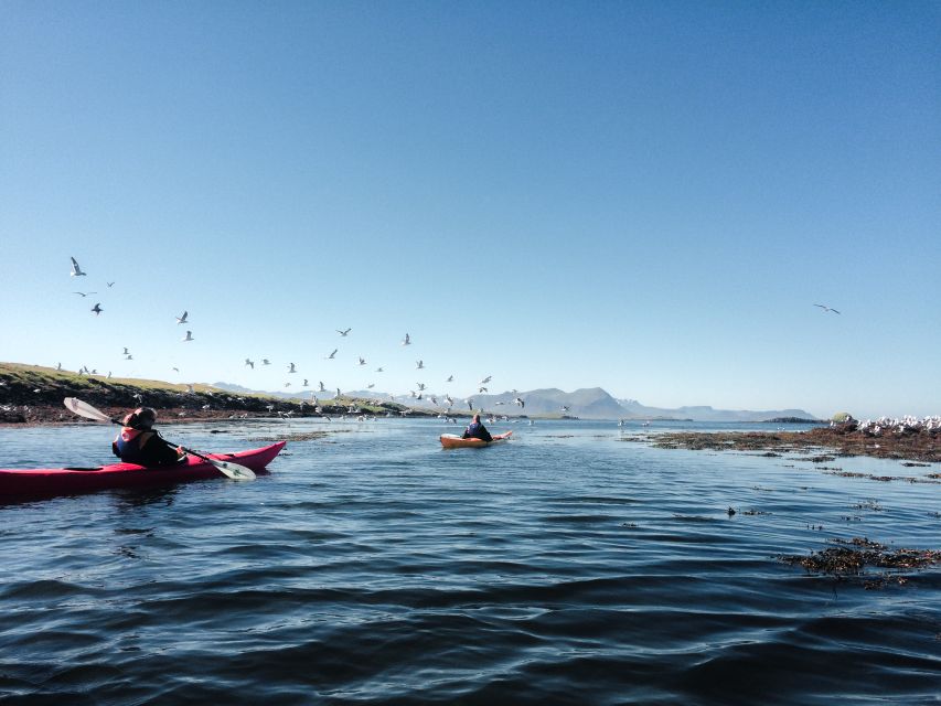 Stykkishólmur: 2-Hour Sea Kayak Tour