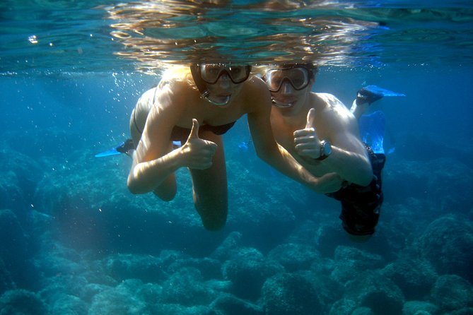 Summer Tour: Dolphin Watching and Guided Snorkeling