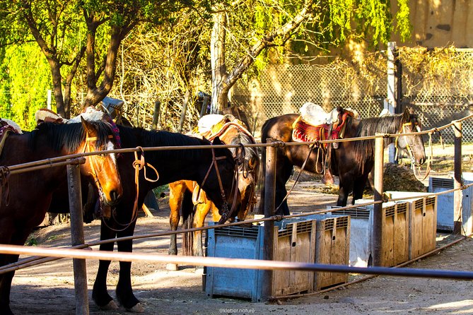 Sunset Horseback Riding - Overview of Sunset Horseback Riding