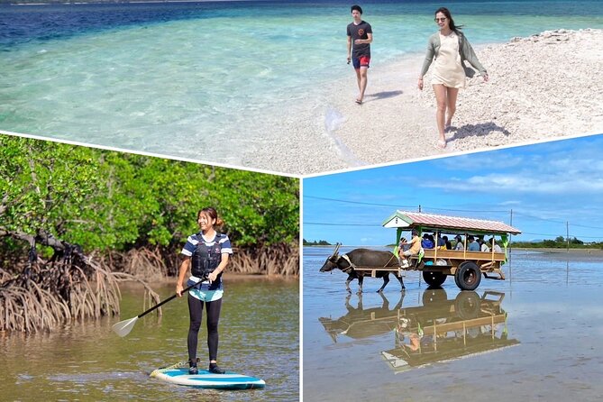 SUP/Canoeing & Landing on Coral Island & Sightseeing in Yubujima