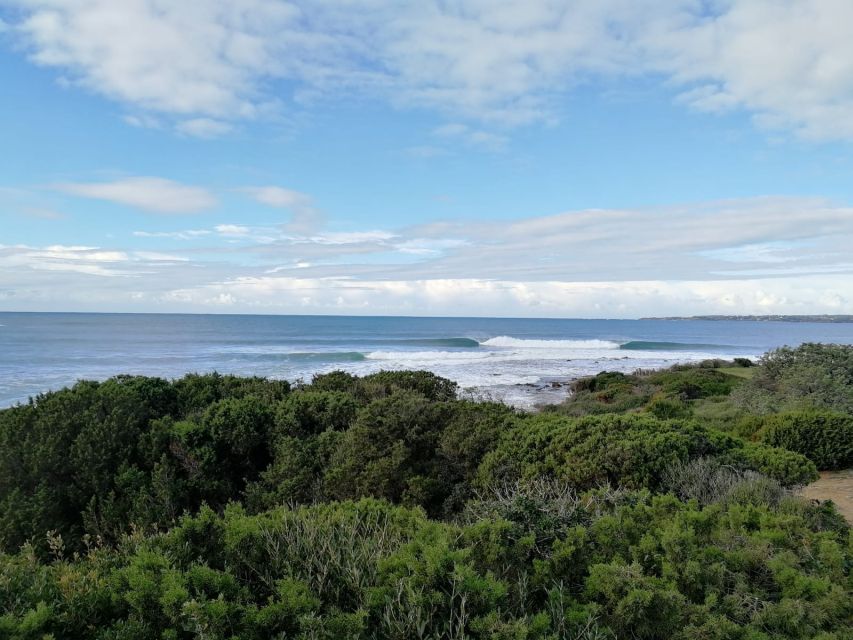 Surf Sardinia: Personal Surf Guide in Sardinia