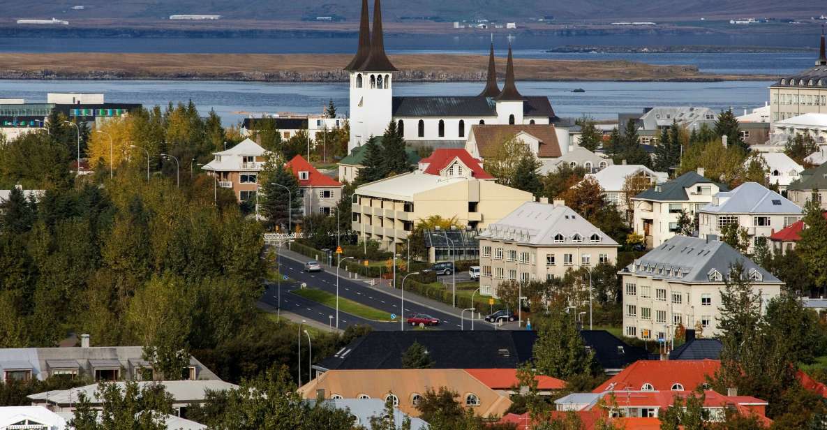 Surprise Tour of Reykjavik Guided by a Local - Tour Overview