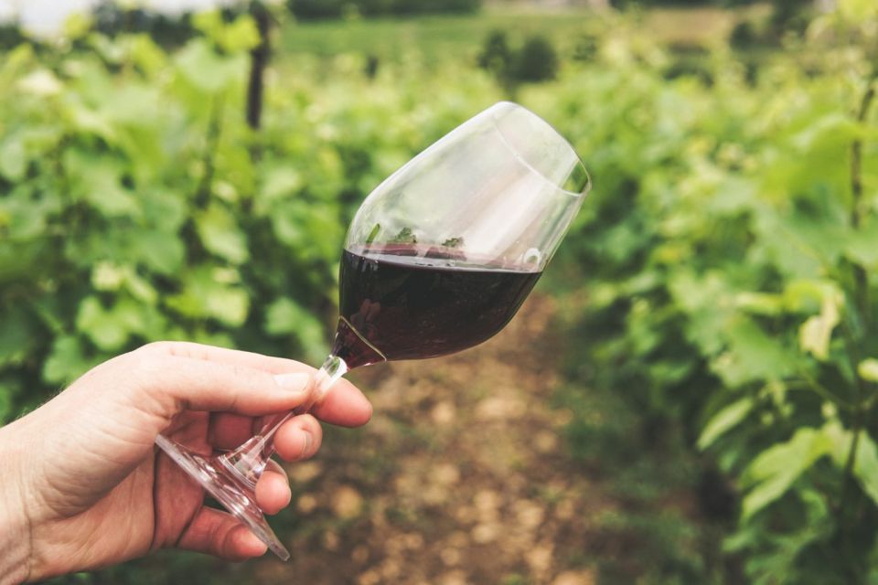 Sussex: Small-Group Wine Tours