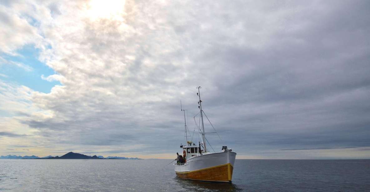 Svolvær: Fishing Trip on the Lofoten Sea