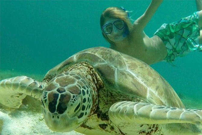 Swim W/Turtles at St. John, Pizza Pi & Snorkel a Shipwreck.