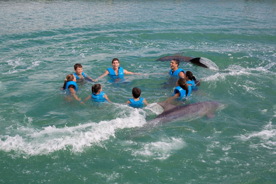 Swim With Dolphins Ride - Puerto Morelos