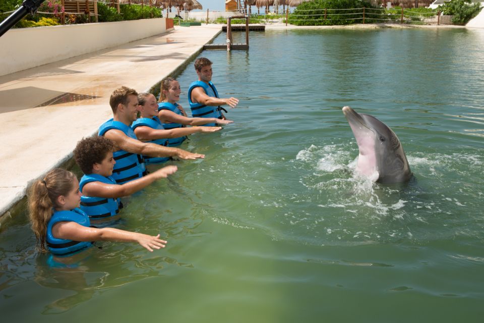 Swim With Dolphins Splash – Punta Cancun