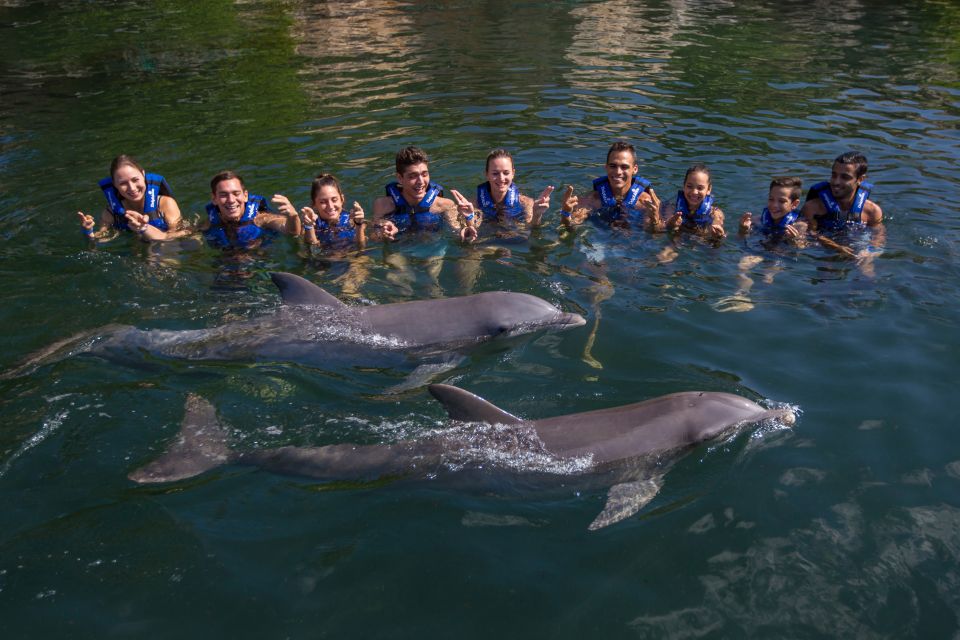 Swim With Dolphins Splash – Riviera Maya