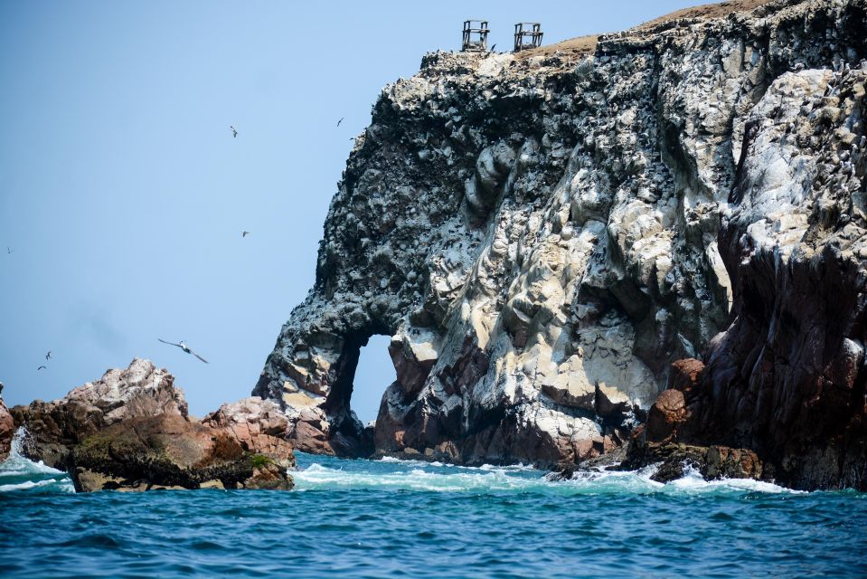 Swim With Sealion on Palomino Island