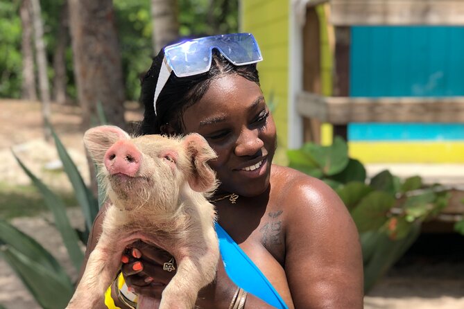 Swimming Pigs Beach Day+Snorkeling Bundle (Lunch+Tropical Drinks)