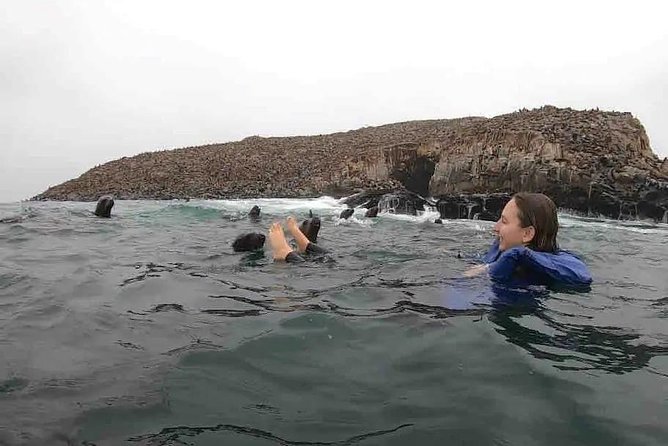 Swimming With Sea Lions in Lima - Tour Itinerary and Schedule