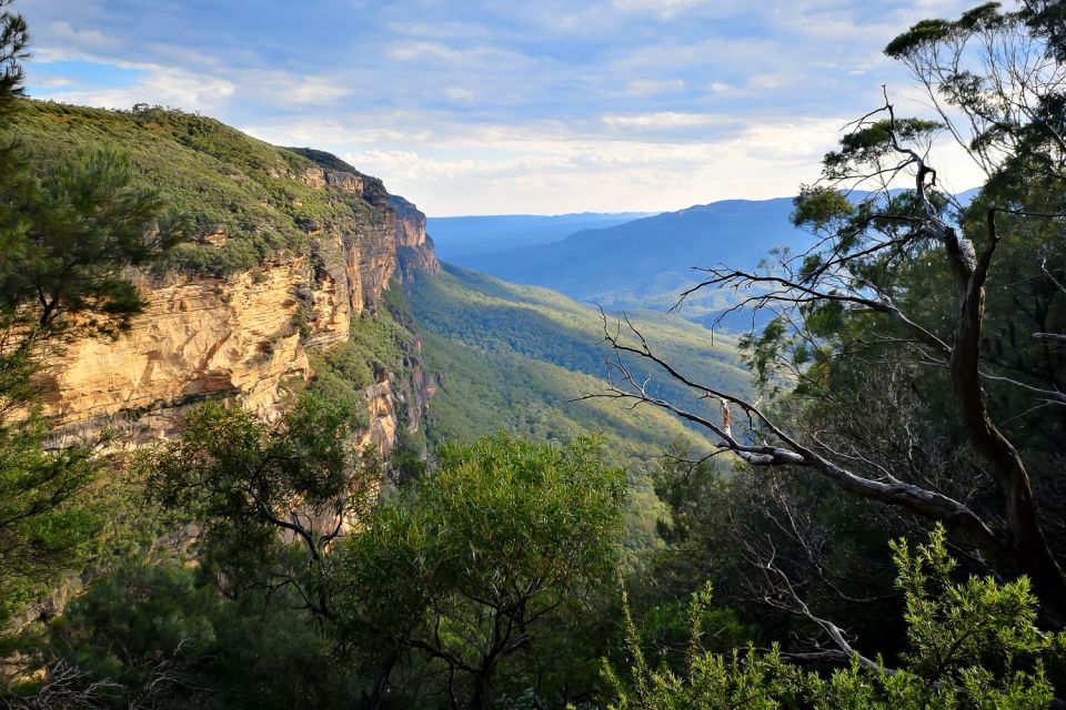 Sydney: Blue Mountains Afternoon and Sunset Tour - Tour Details