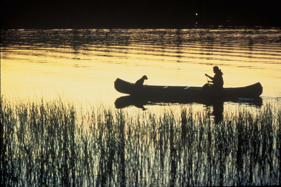 Syracuse: Ciane River Nature Reserve Guided Canoe Ride