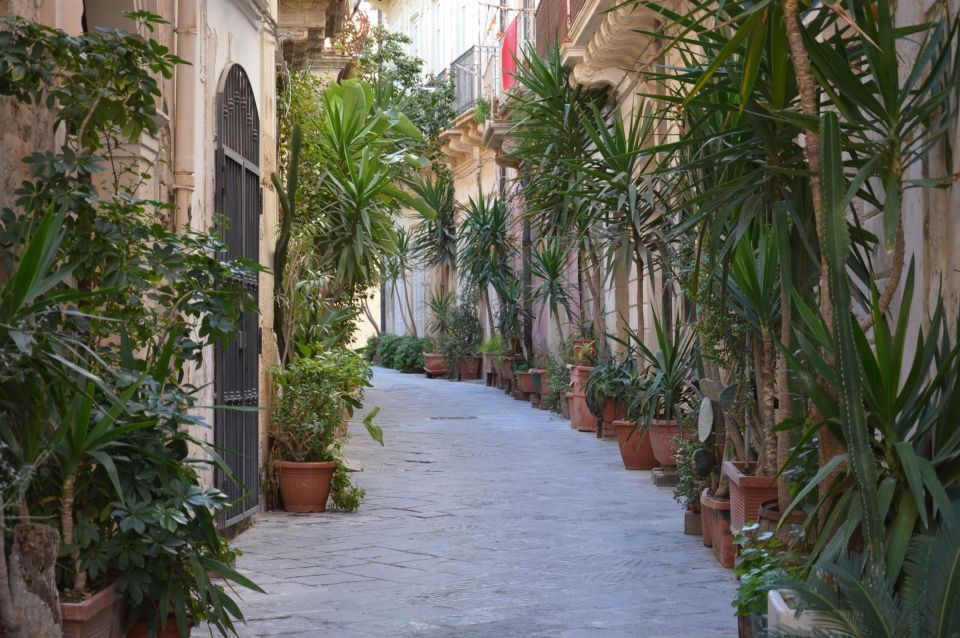 Syracuse: Ortigia and Neapolis Guided Walking Tour