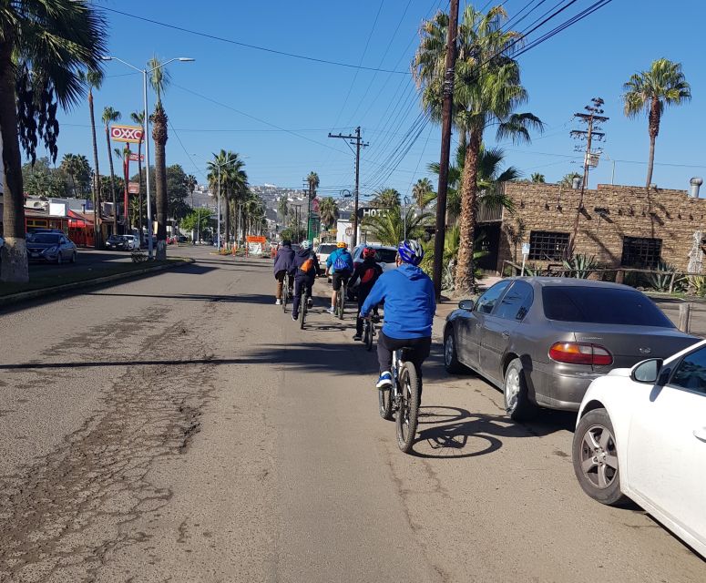 Tacos and Bike, the Best Fish Tacos in the World. - Tour Overview