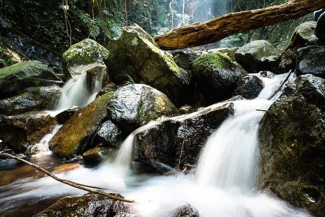 Tai Mo Shan Waterfall Adventure Hike - Adventure Overview