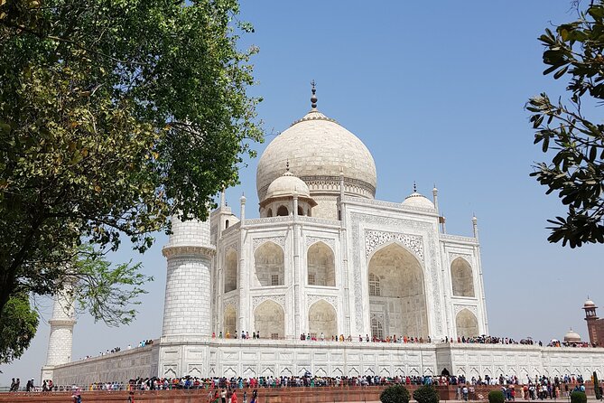 Taj Mahal & Agra Fort Tour - Delhi to Agra: A Day Trip - Highlights of the Tour