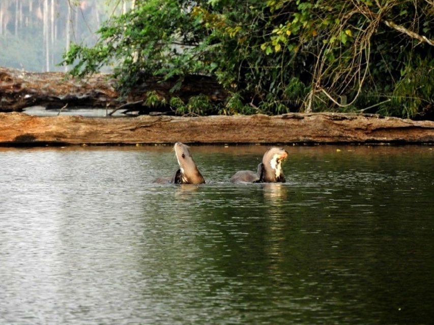 Tambopata National Reserve With Fauna Observation 4 Days