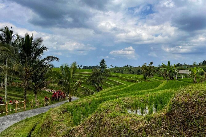 Tanah Lot – Ulun Danu Beratan Temple – Scenic Countryside Tour