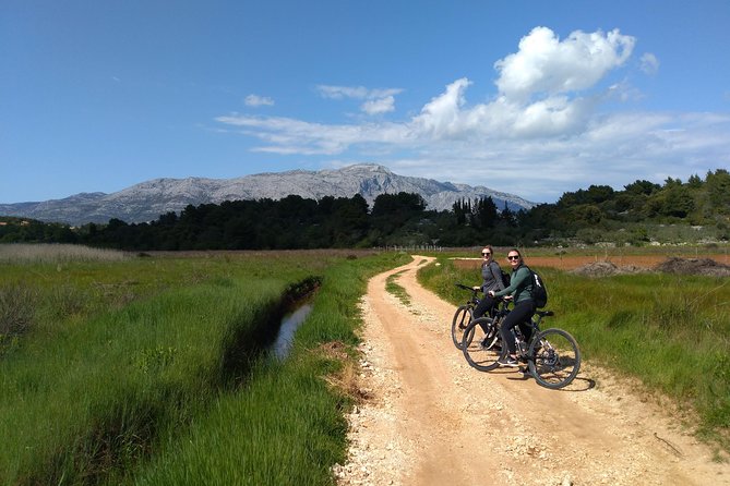 Taste of Korcula by Bike Tour (Food & Drink Tasting) - Overview of the Tour