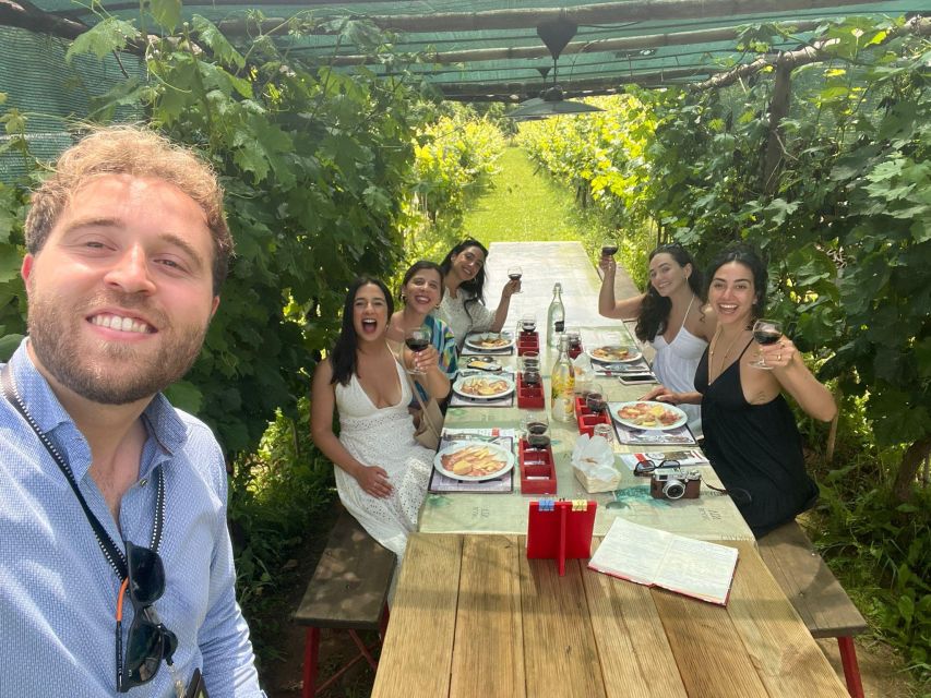 Tasting in a Vineyard With Transfer From Pisa