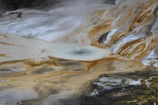 Taupo Day Trip With Orakei Korako or Waiotapu From Rotorua