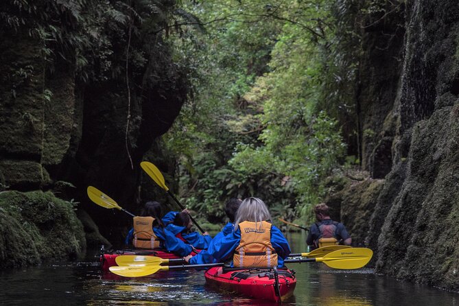 Tauranga: Daytime Scenic Lake McLaren Tour - Tour Overview