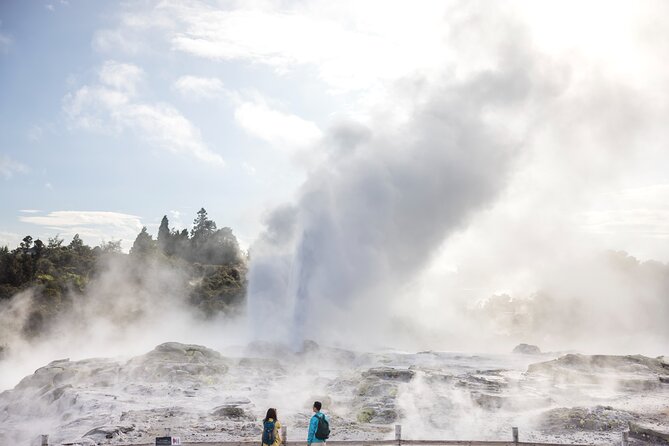 Tauranga Shore Excursion: Te Puia Maori Cultural Centre and Rotorua City Sightseeing